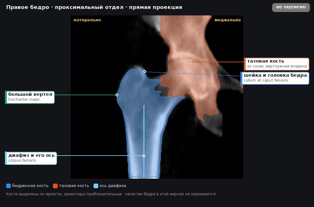 разметка снимка в стиле атласа