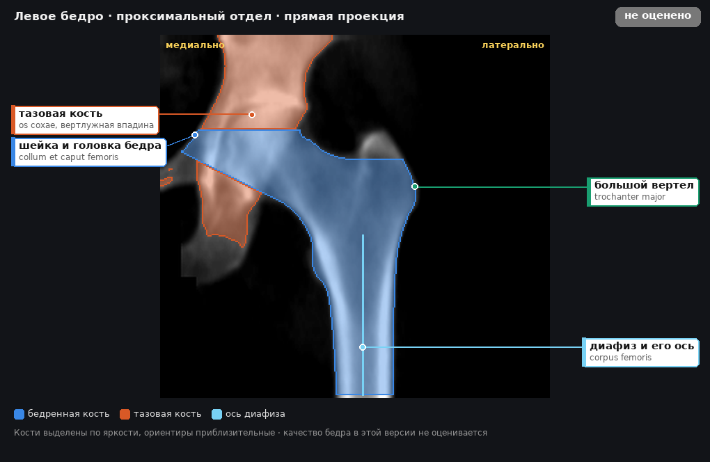 разметка снимка в стиле атласа