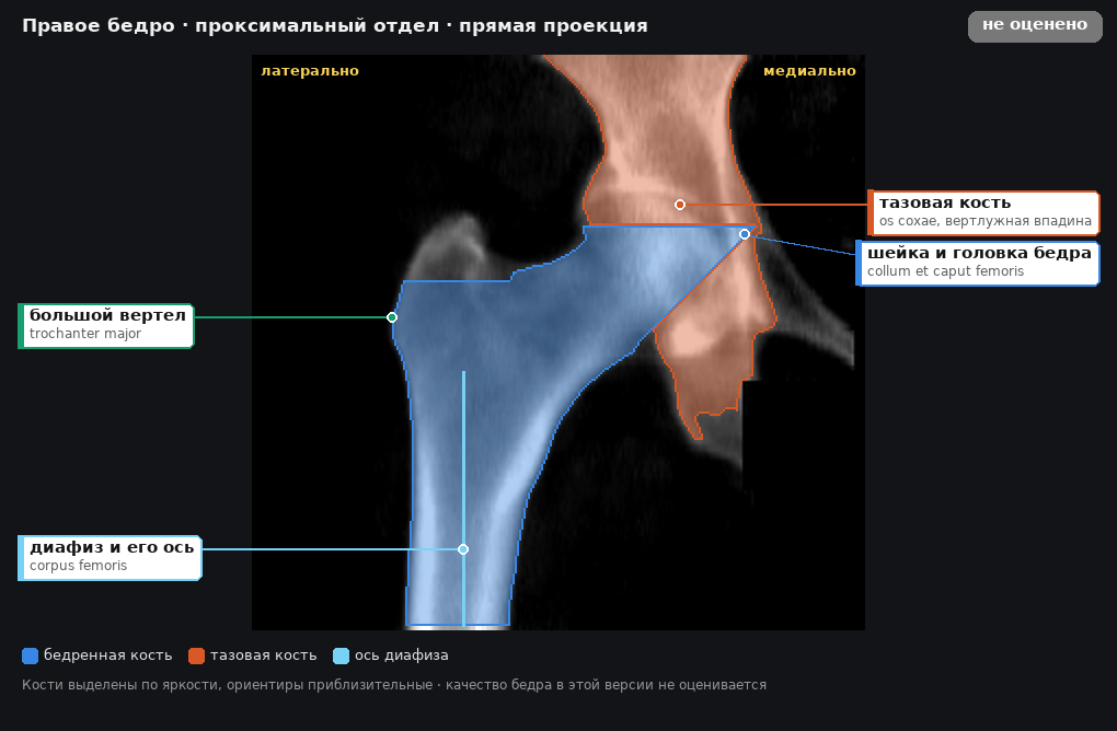 разметка снимка в стиле атласа