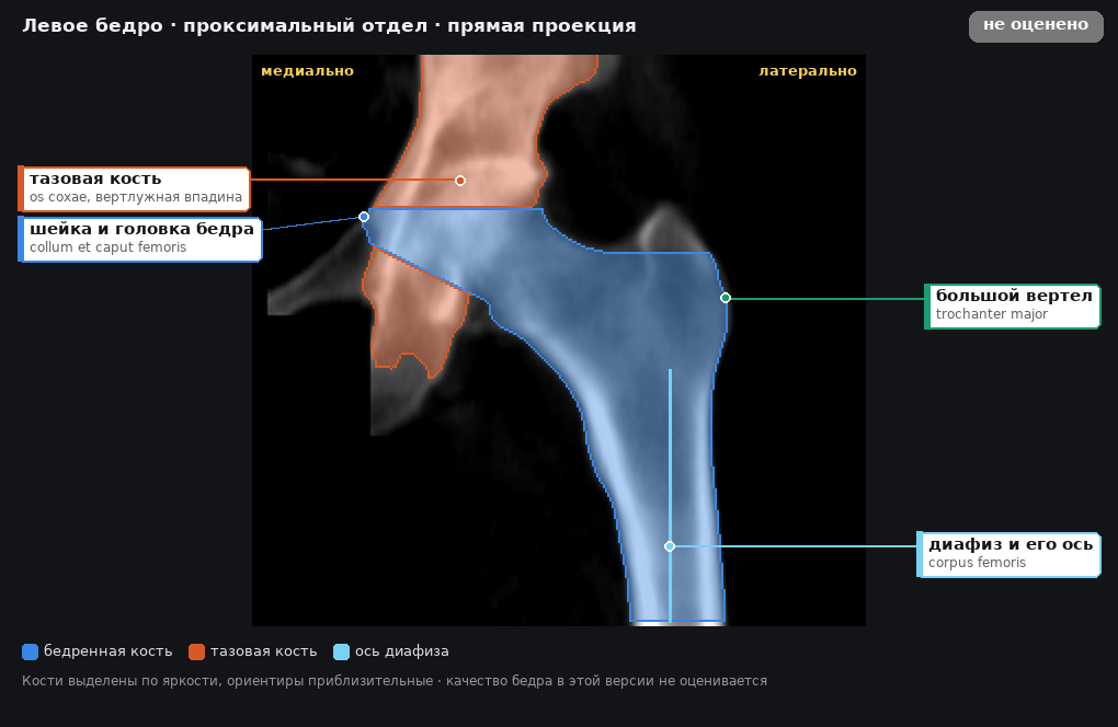 разметка снимка в стиле атласа