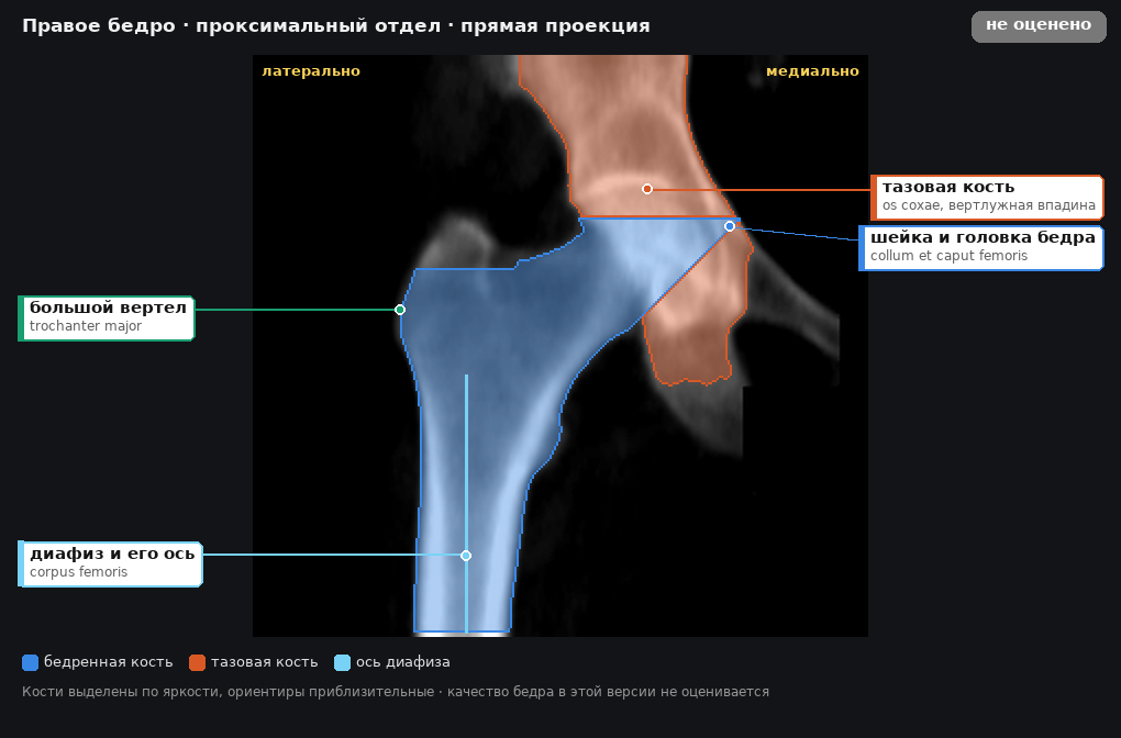 разметка снимка в стиле атласа