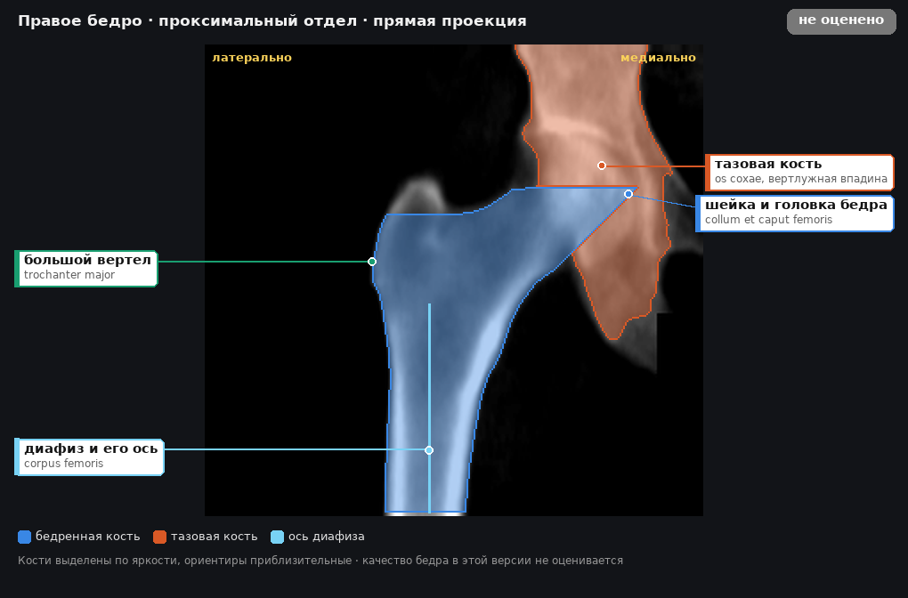 разметка снимка в стиле атласа