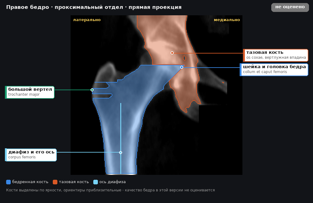 разметка снимка в стиле атласа