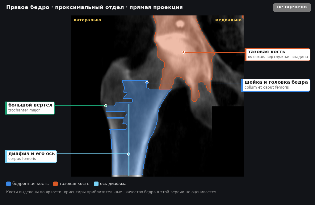 разметка снимка в стиле атласа