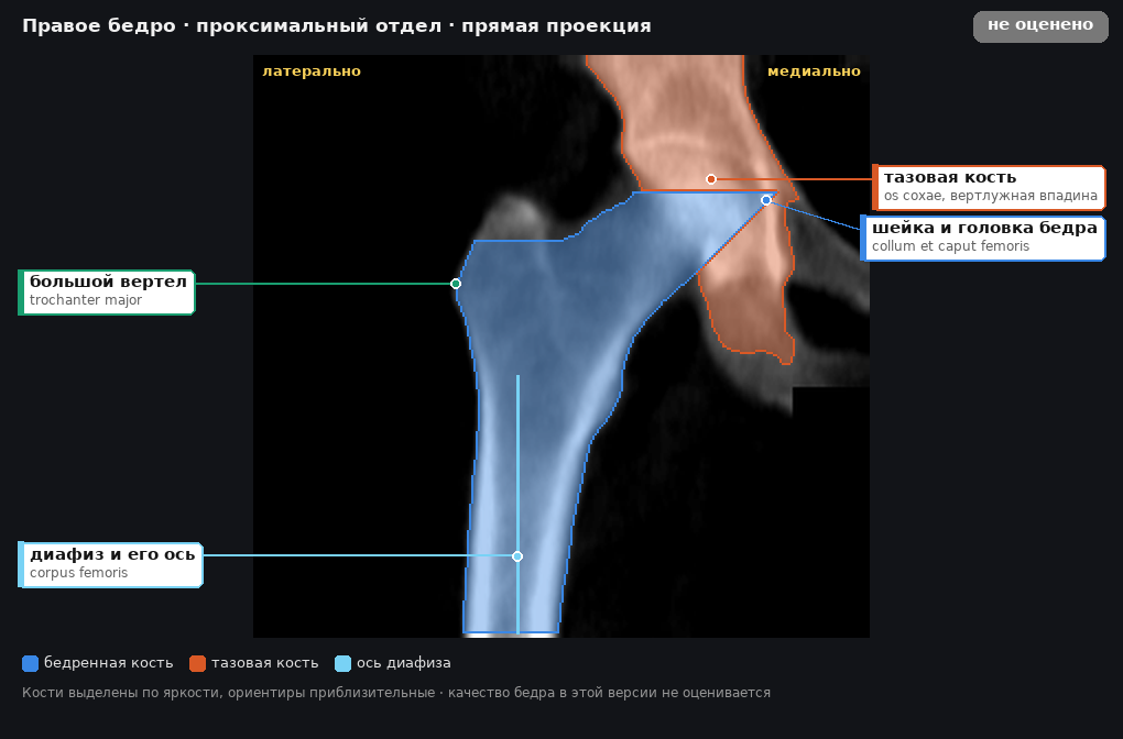 разметка снимка в стиле атласа