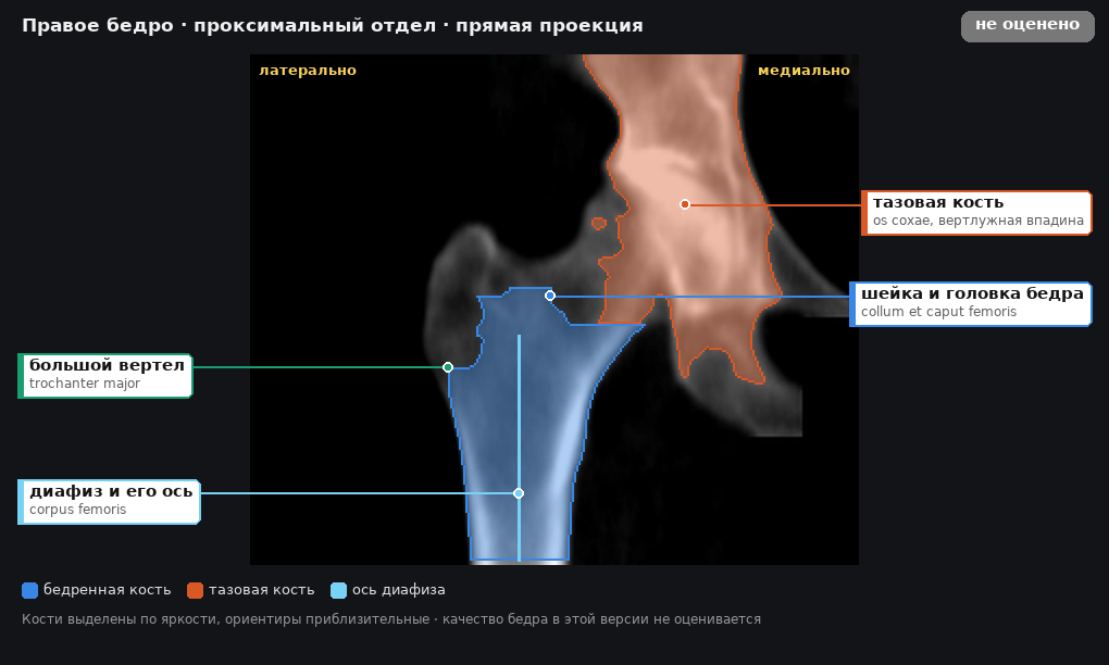 разметка снимка в стиле атласа