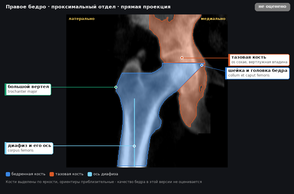 разметка снимка в стиле атласа