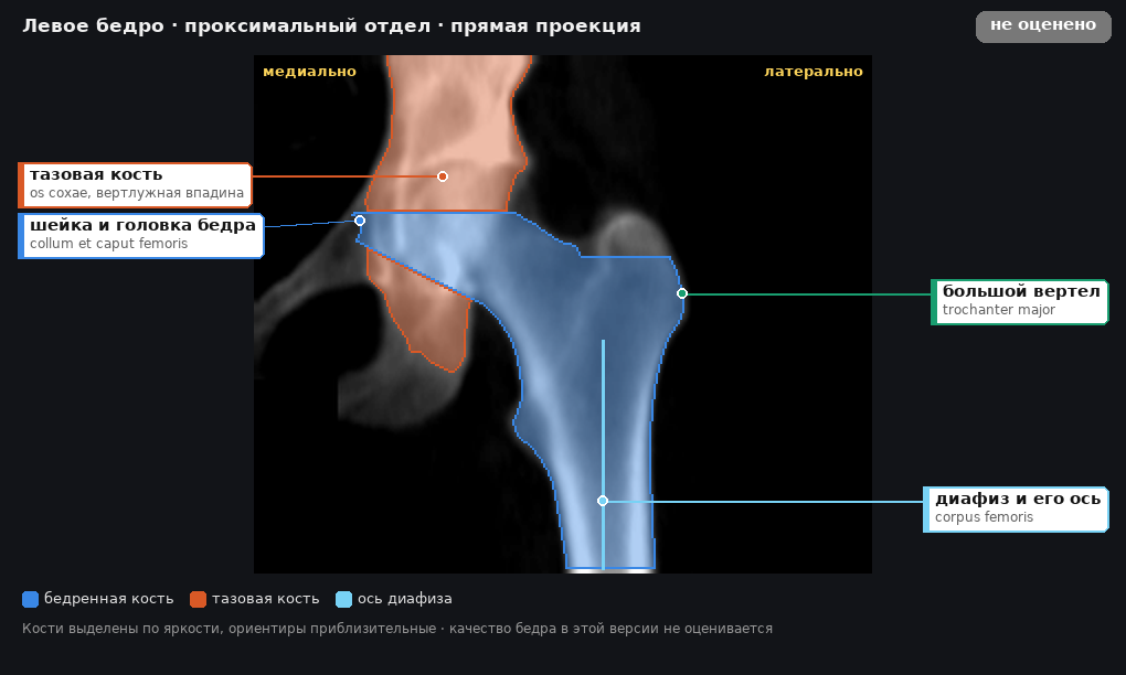 разметка снимка в стиле атласа