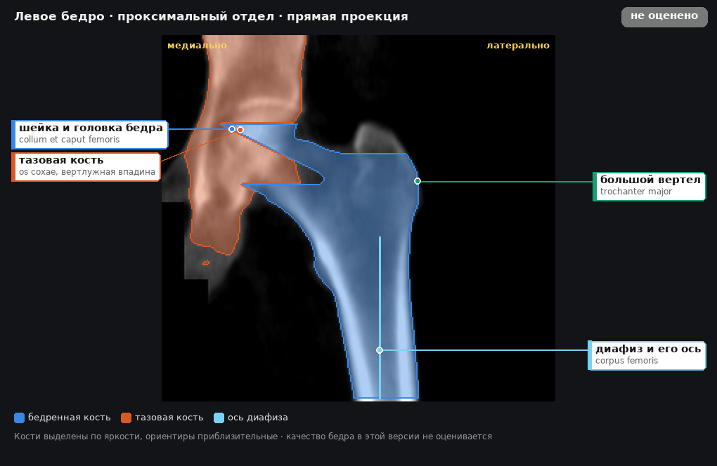 разметка снимка в стиле атласа