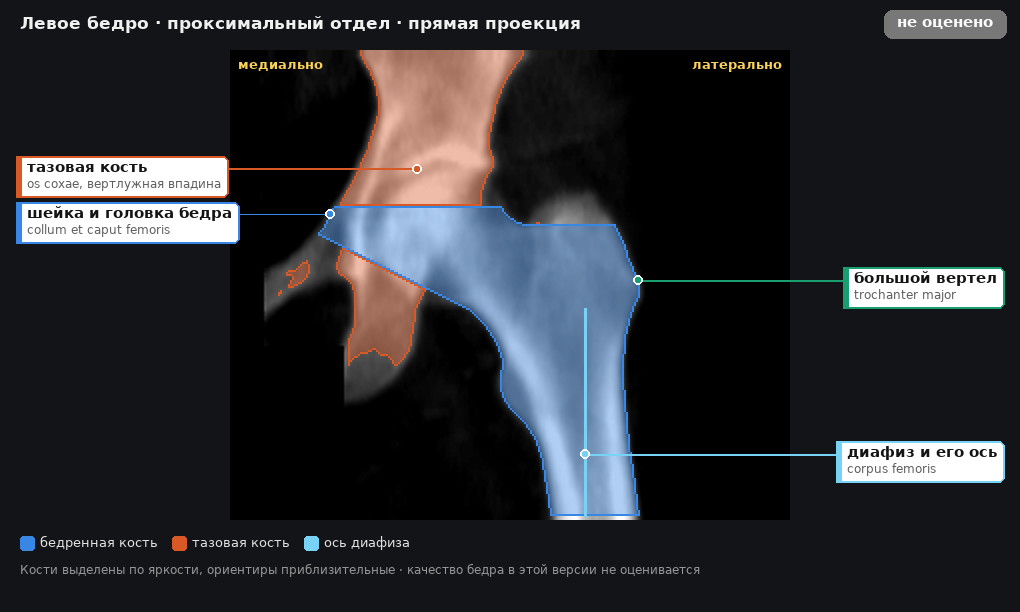 разметка снимка в стиле атласа
