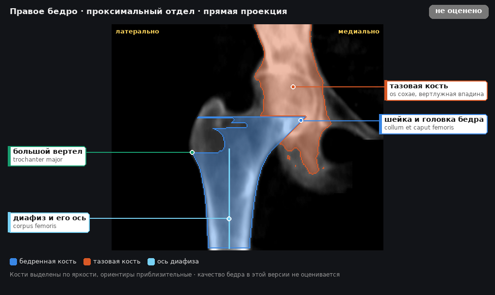 разметка снимка в стиле атласа
