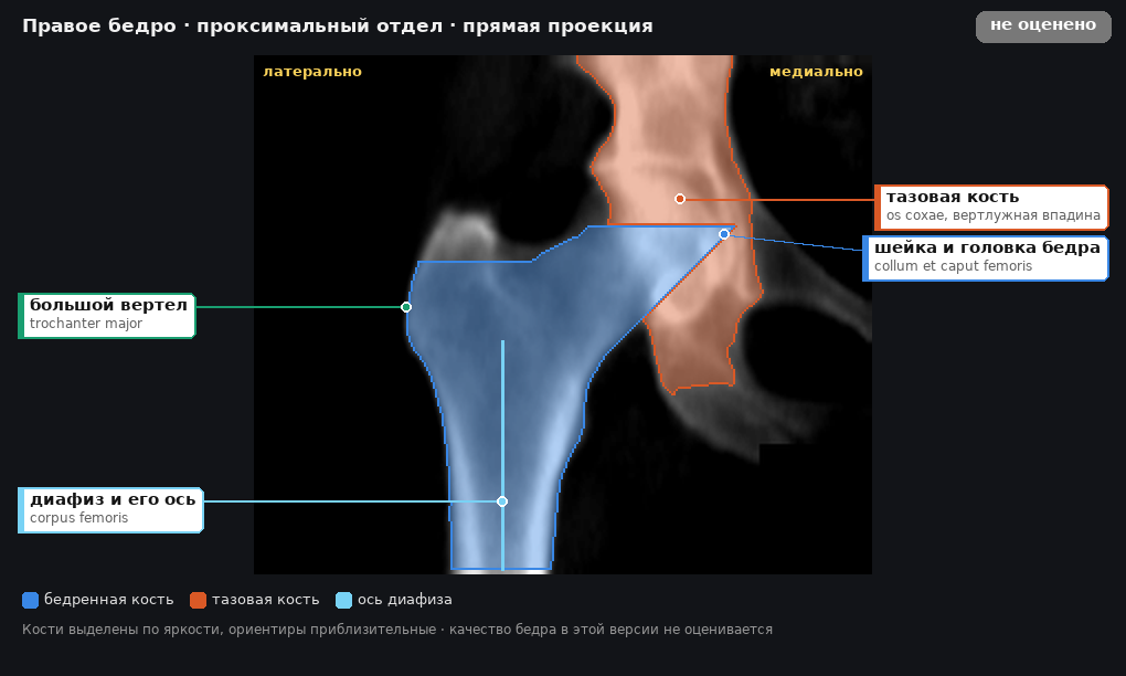 разметка снимка в стиле атласа