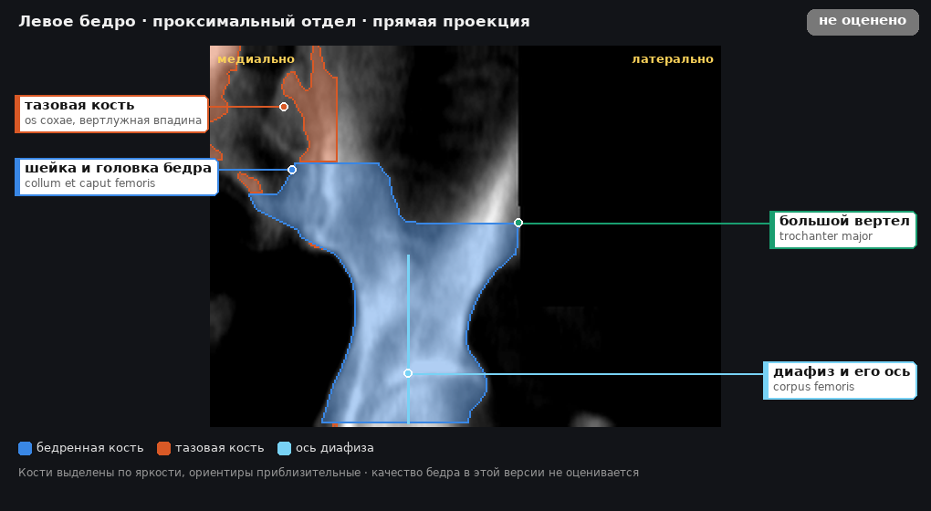 разметка снимка в стиле атласа