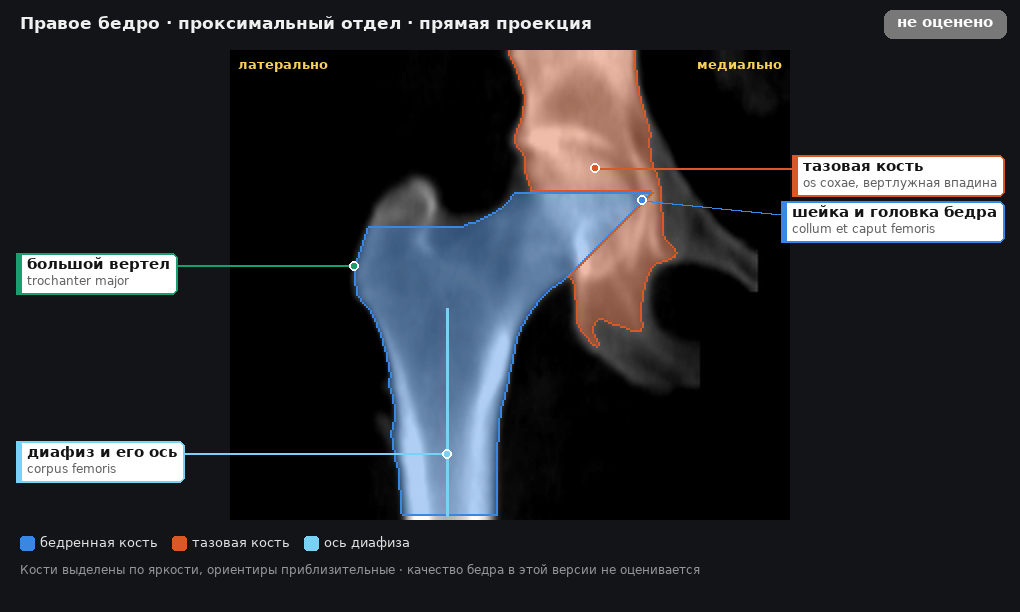 разметка снимка в стиле атласа