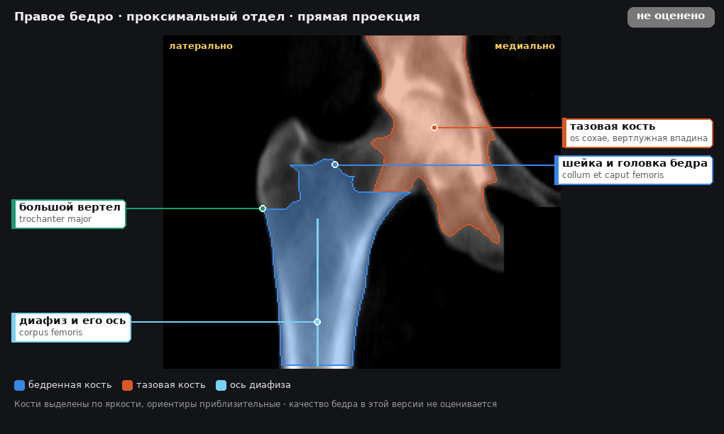 разметка снимка в стиле атласа