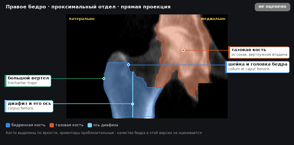 разметка снимка в стиле атласа