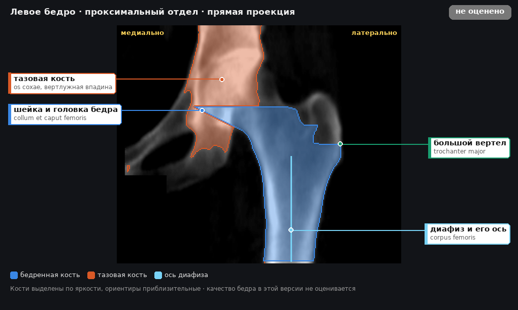 разметка снимка в стиле атласа