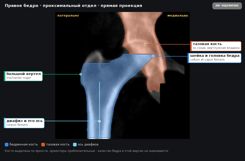 разметка снимка в стиле атласа