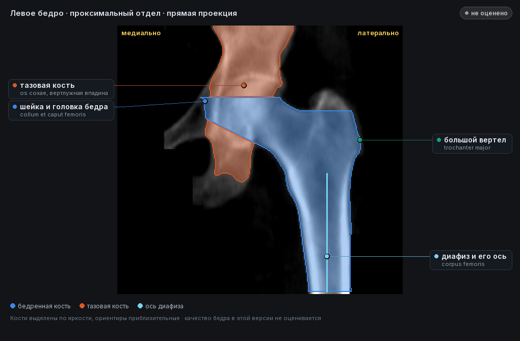 разметка снимка в стиле атласа