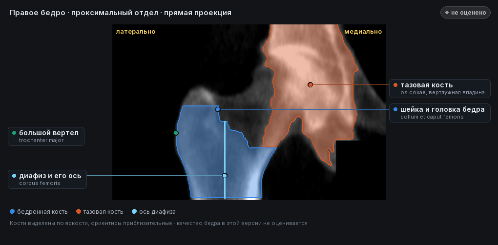 разметка снимка в стиле атласа